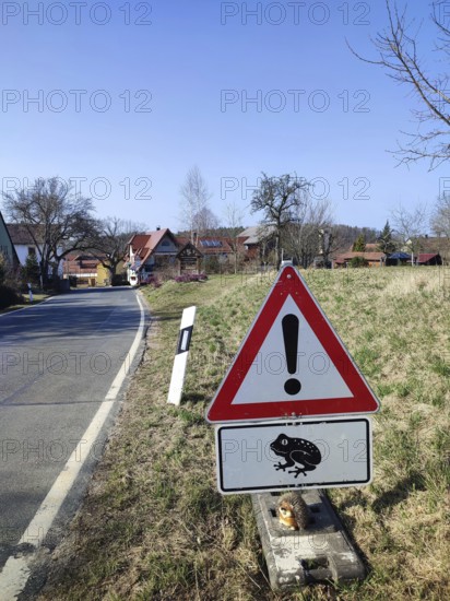 Caution sign with frog symbol (rana) on a rural road, animal protection in the Franconian Forest