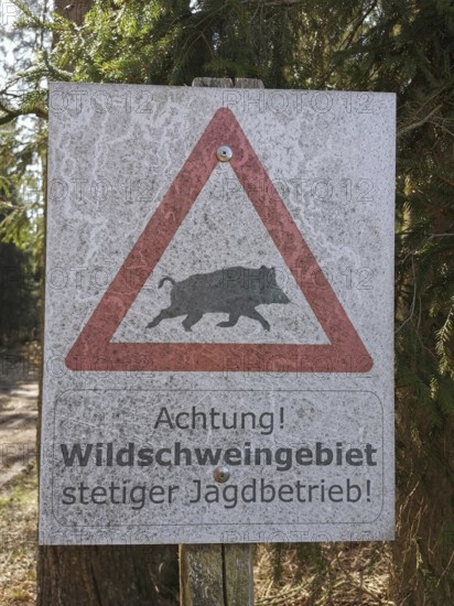 Warning sign against wild boars and hunting area in a forest, Franconian Forest nature park Park