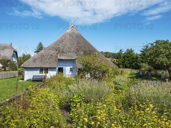 The thatched parish widow's house from 1719 with cottage garden, museum in Groß Zicker, Mönchgut