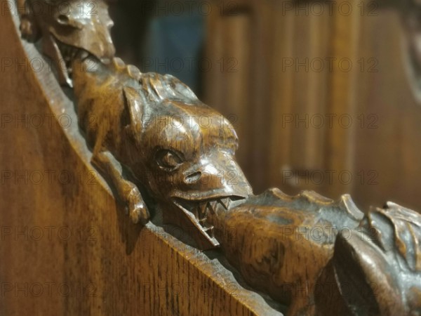 Wood carving of a dragon (draconis) biting the tail of the dragon in front of it in a detailed