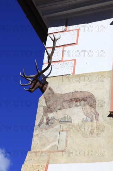Romania, house with deer antlers, Casa cu Cerb in the historic old town of Sighisoara, German