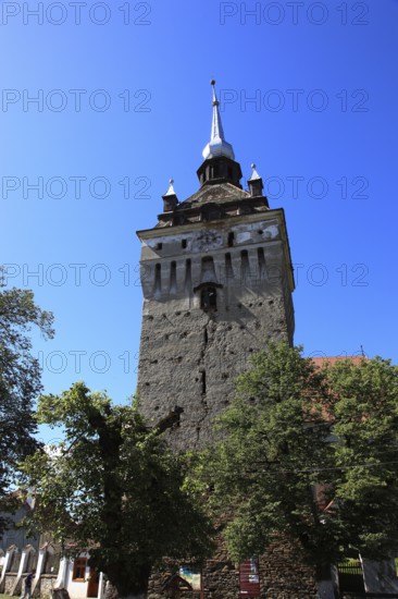 Romania, the bell tower of the church of Saschiz, German Keisd, a community in Mures County,
