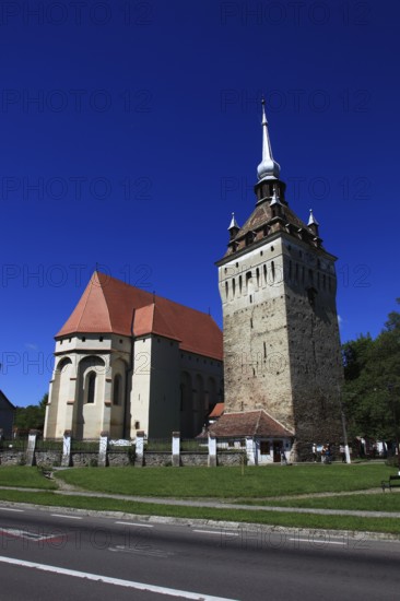 Romania, the church tower and church of Saschiz, German Keisd, a community in Mures County,