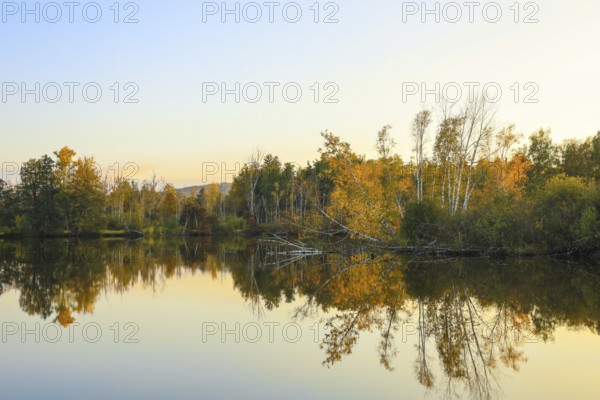 Calm lake with autumn trees and reflections in golden light, Pfrunger-Burgweiler Ried, Nillsee,