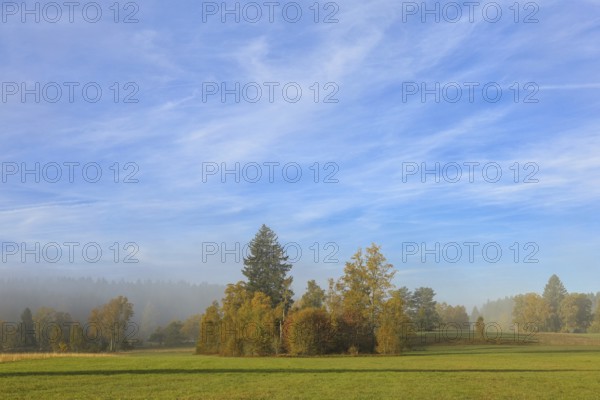 Autumn landscape with hazy sky and meadows in the foreground, surrounded by trees, Upper Danube