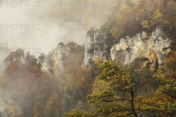 Jurassic limestone cliffs with autumnal trees and clouds of fog, Upper Danube nature park Park,