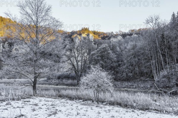 Snowy landscape with trees, the Danube and Jurassic limestone cliffs in the morning sun, Upper