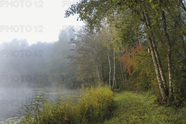 Foggy lakeside landscape in autumn with colorful foliage and calm lake,