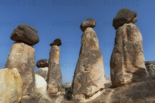Soft morning light on the fairy chimney rock formations of the dramatic Anatolian landscape of
