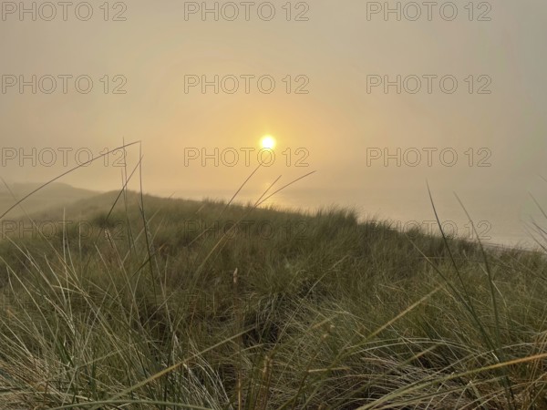 Sunset, fog on the beach in the Western Pomerania Lagoon Area National Park, Darss-Zingster Bodden