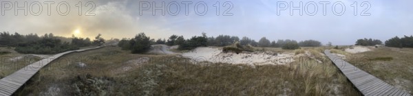 Landscape with hiking trails through the Western Pomerania Lagoon Area National Park. panorama,