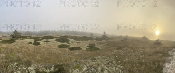 Sunset, fog. Landscape in the Western Pomeranian Lagoon Area National Park. panorama,