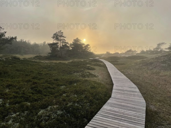 Sunset, fog. Landscape with hiking trails through the Western Pomerania Lagoon Area National Park.