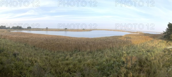 Lagoon landscape, Western Pomerania Lagoon Area National Park, Darss-Zingster Boddenkette, Baltic