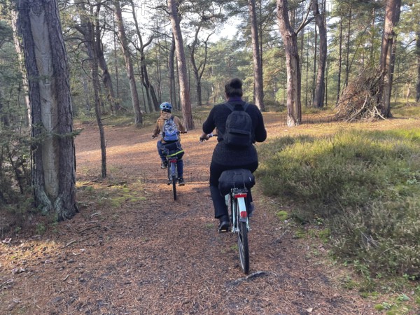 Family trip by bike, mother with child, Vorpommersche Boddenlandschaft National Park,