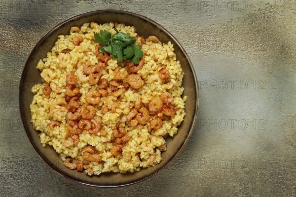 Risotto with shrimp, in a bowl, on a textured surface, with a side dish of fresh coriander,
