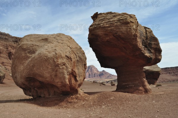 Two large rocks stand side by side in a desert landscape with a red rock backdrop, Grand Canyon