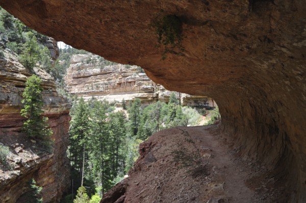Hiking trail under an overhang with views of green trees and rock walls, Grand Canyon National