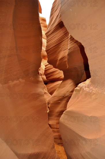 Narrow passage of smooth, organically shaped orange sandstone, Antelope Canyon, Navajo Nation