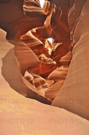 Warm lit sandstone with wonderful forms of natural erosions on a sunny day, Antelope Canyon, Navajo