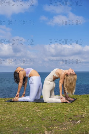 Two diverse women performing ustrasana yoga pose on mats at a green cliff overlooking the sea,