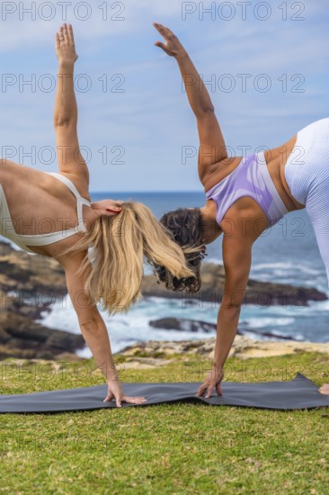 Two women practicing yoga on mats atop a grassy coastal cliff, balancing and stretching in peaceful