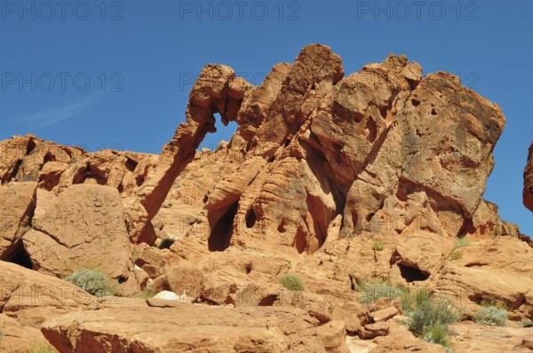 Famous elephant arch rock formation towering under bright blue sky, Valley of Fire State Park,
