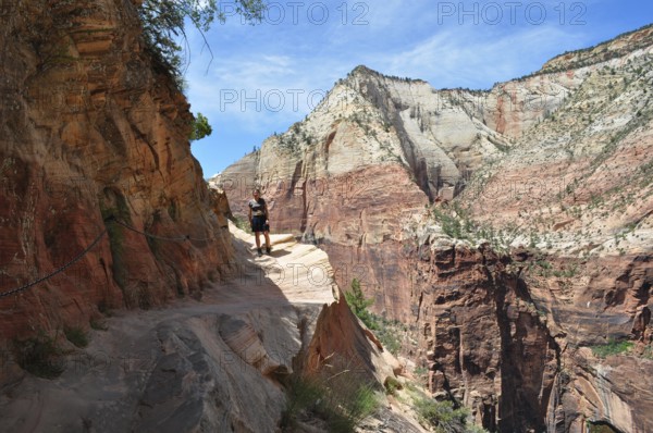 Person on a narrow hiking trail to Angel's Landing viewpoint along a red rocky mountain range, Zion