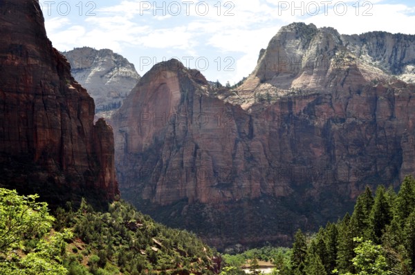 Dramatic cliffs and mountains rise above thick forests under a blue sky, Zion National Park, Utah,