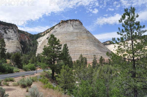 Characteristic hills and geological formations next to a tree-lined road, Zion National Park, Utah,