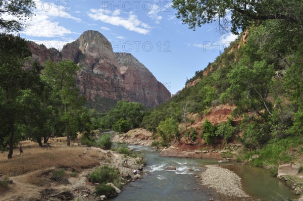 A river flows through a mountainous landscape with green trees and cliffs under a blue sky, Zion