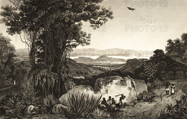 Rio de Janeiro, Brazil, bay, mountains, forest, lianas, nature, agaves, birds, locals,