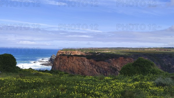 Red cliffs overlook the raging ocean with green vegetation and blooming flowers in the foreground,
