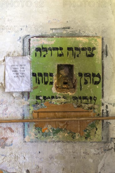 Sacrifice in a wall, Hasidic Synagogue, also Jacob Gansel Schul, is being restored, Lemberg,