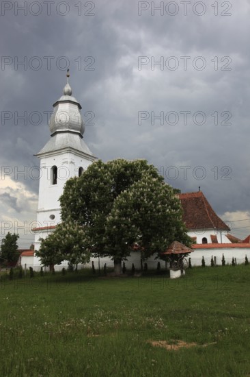The Reformed Church in Lisznyo, Lisnau, with a blossoming chestnut tree in front, a historic