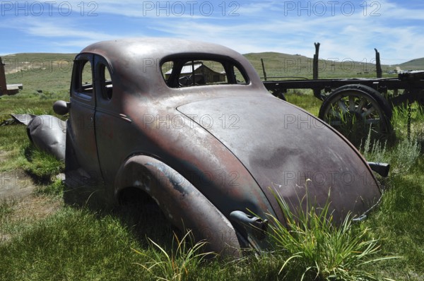 Rear view of an old rusty car wreck, Chevrolet Coupé, on green space in the wilderness, Bodie Ghost
