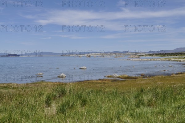 A tranquil shoreline with grassy areas and a blue lake under a clear sky, Lake Natron, Mono Lake,