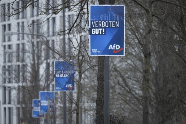 Numerous AfD election posters hang one behind the other on several lamp posts in the northwest of