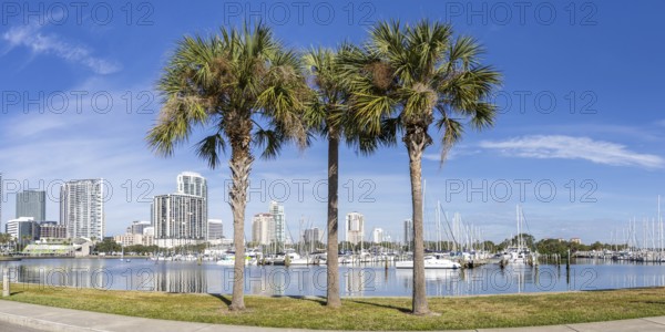 Saint Petersburg Florida Promenade on Tampa Bay Panorama with Palm Trees in Downtown St Petersburg,