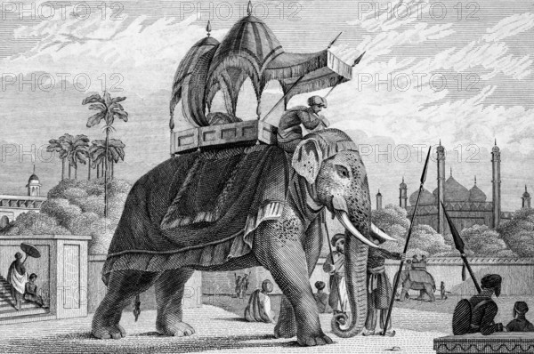Equipped, decorated elephant with stretcher, travel, without location, temple, corner towers, guard