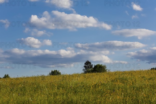 Lime kiln near the fog cave, clouds, sky, expanse, meadow, bushes, hills, landscape, Swabian Jura,