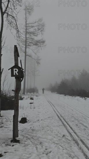 Snowy trail in fog with ski tracks and a lonely cross-country skier in front of the Rennsteig