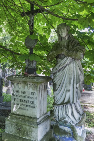 Angel sculpture under a chestnut tree on a family grave, Lützenhofer cemetery Lychakivskiy