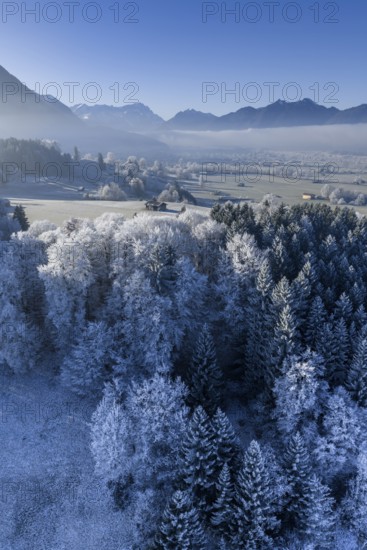 Winter landscape, fog, high fog, mountain landscape, hoarfrost, cold, trees, forest, winter, sunny,