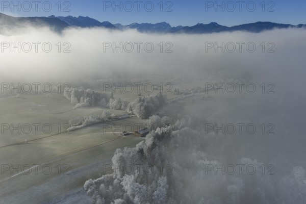 Winter landscape, fog, high fog, mountain landscape, hoarfrost, cold, trees, forest, winter, sunny,
