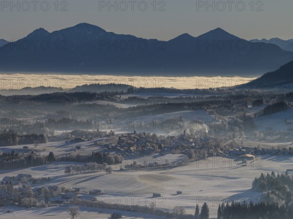 Winter landscape, fog, high fog, mountain landscape, back light, hoarfrost, cold, winter, sunny,