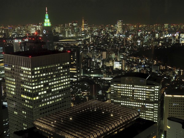 Nocturnal view of a city with twinkling lights and tall buildings, Tokyo, Japan