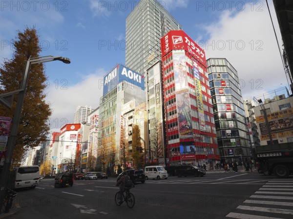 City view with modern skyscrapers and autumn trees under a cloudy blue sky, Akihabara Electric