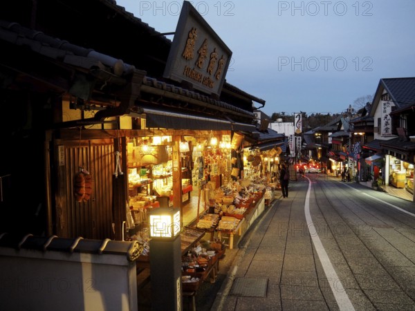 Traditional market at night with atmospheric lights, Densha-michi street, Narita, Japan