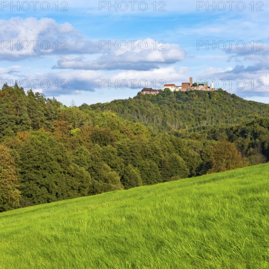 View across a green meadow to Wartburg Castle in the Thuringian Forest, Eisenach, Thuringia,